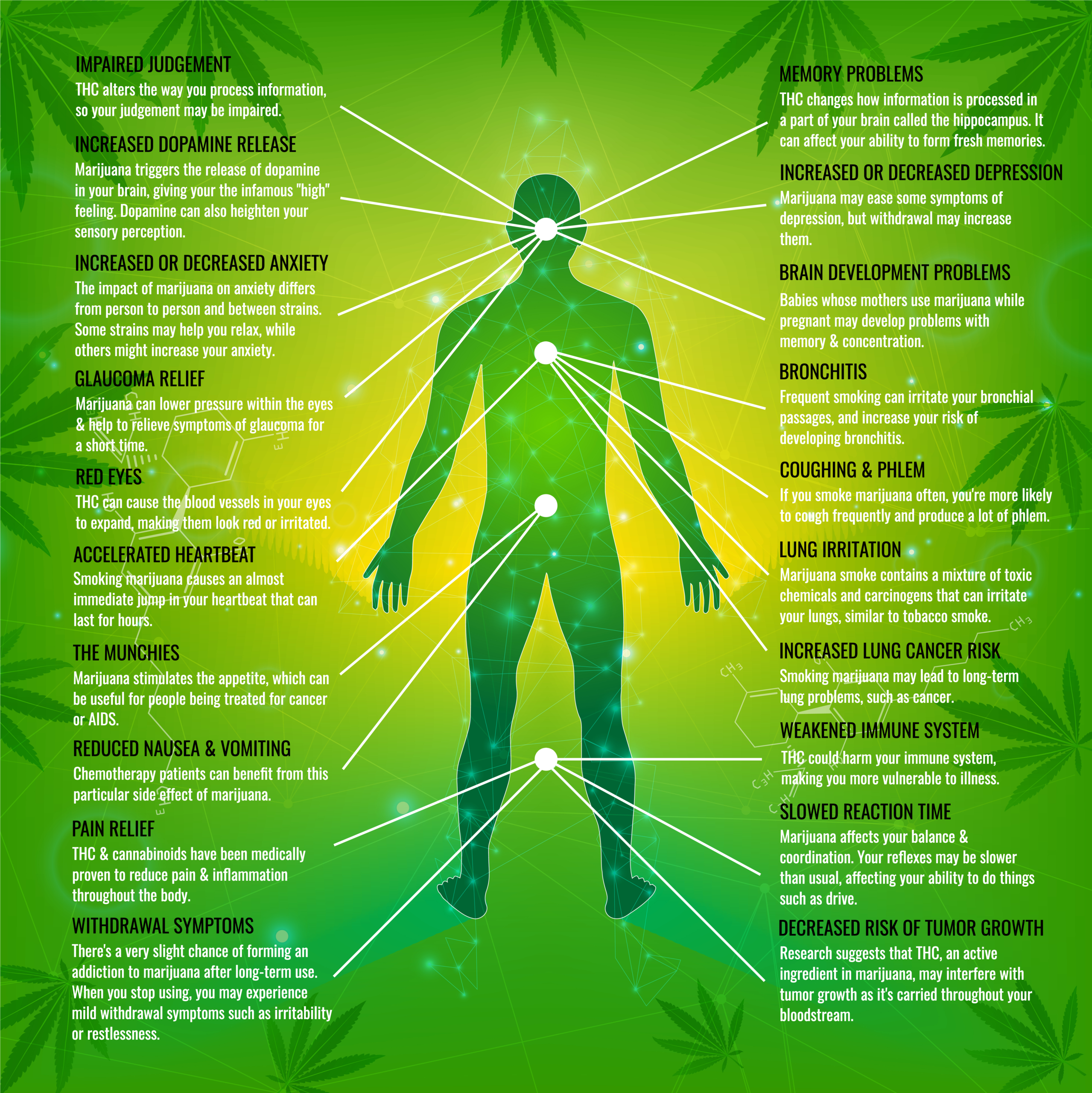 missouri medical marijuana cannabis card health information