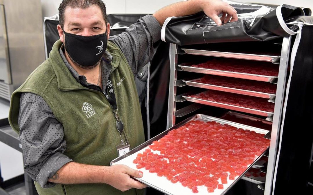 KC plant makes Missouri medical marijuana edibles KC Star