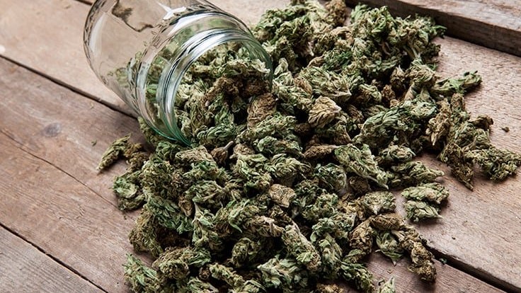 med card mmj missouri medical marijuana cannabis buds jar